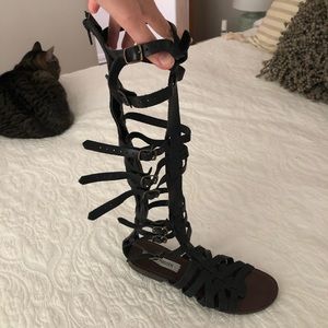 Knee-High Black Gladiator Sandals | Steve Madden